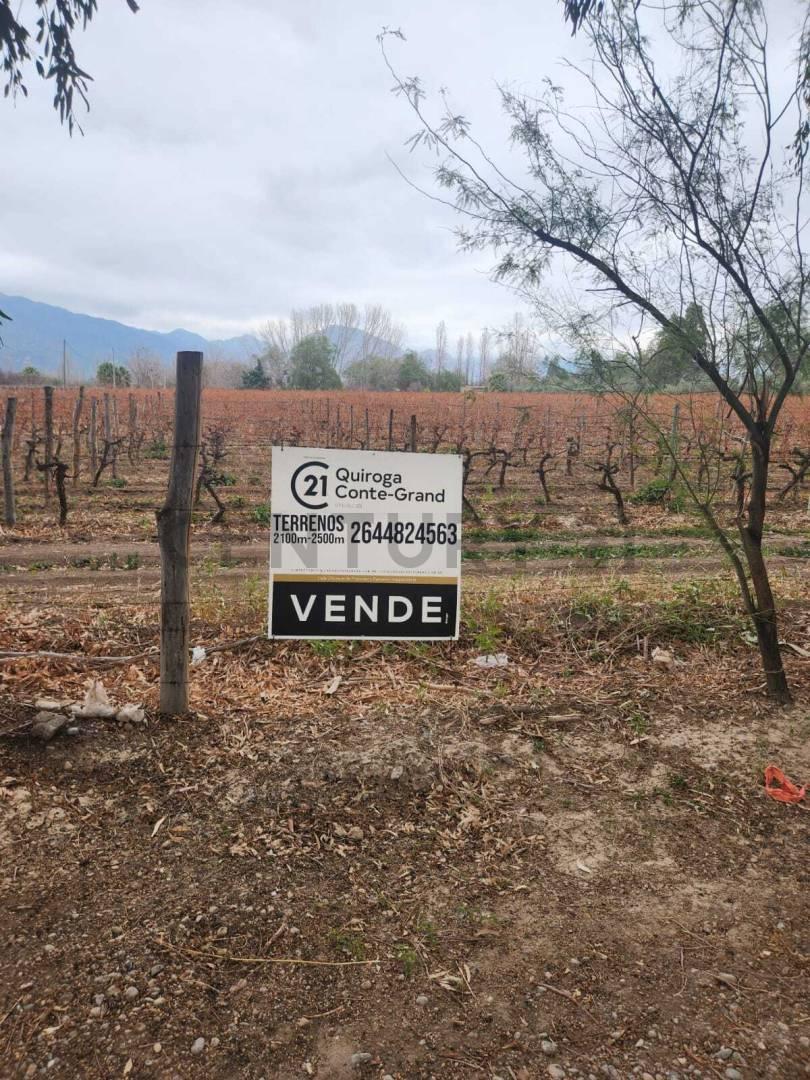 VENTA TERRENO A 5 MINUTOS DE VILLA IBAÑEZ - ZONDA — foto 1