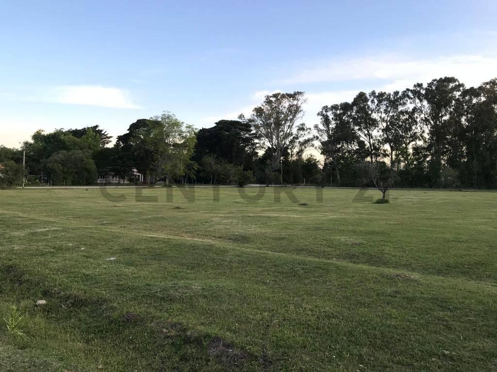 Lote en venta — foto 1