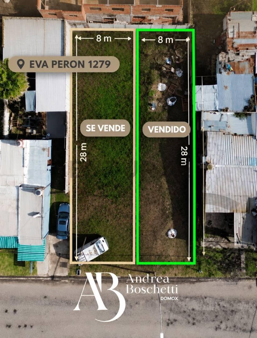 Imagen 1