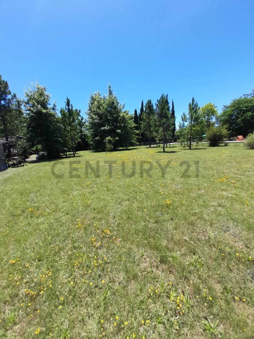 Lote en venta en arturo segui — foto 1