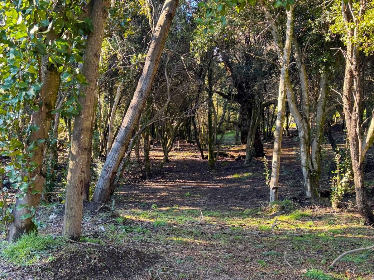 Venta lote en Villa La Angostura — foto 1