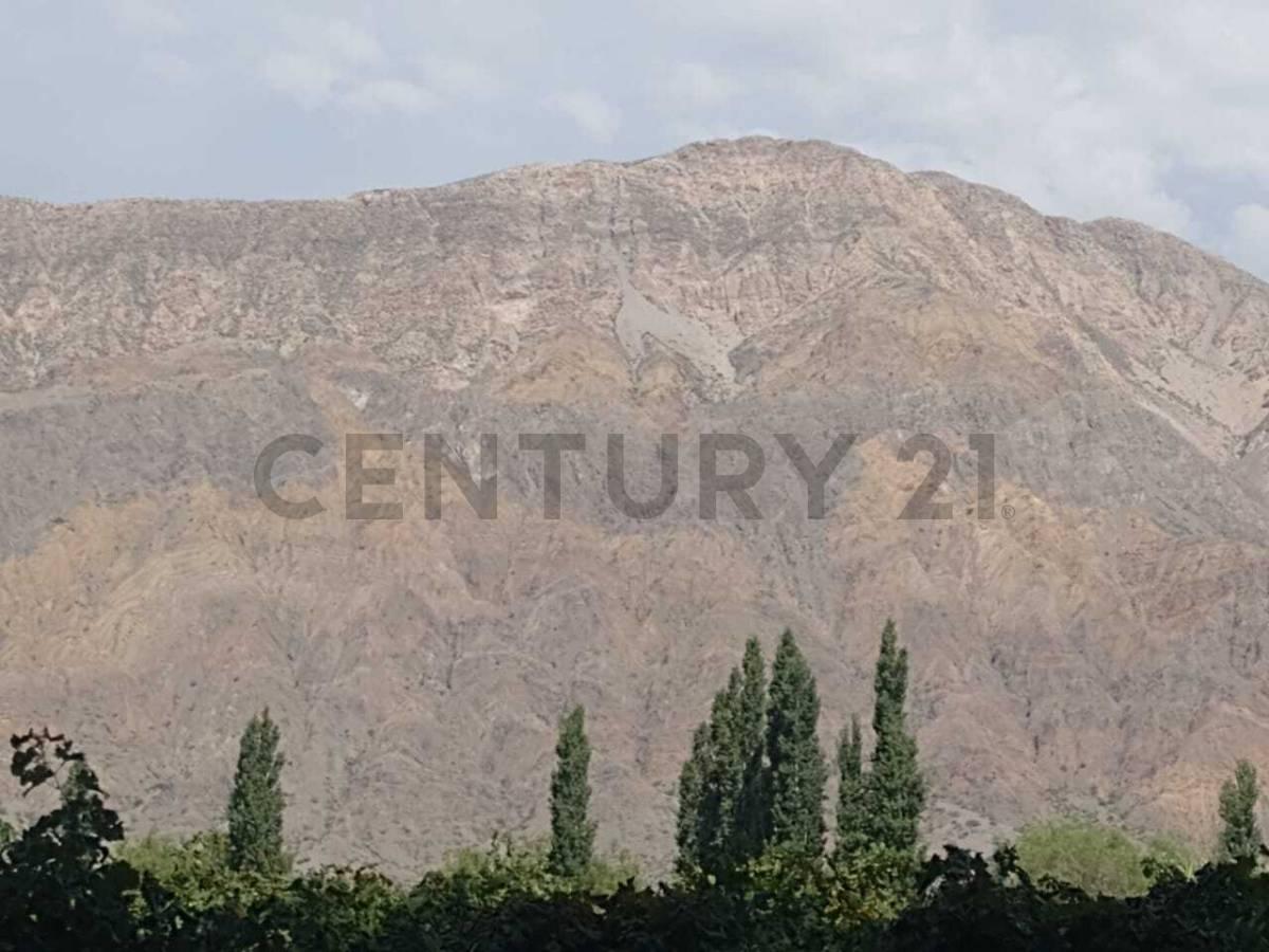 FINCA DE 6 HECTAREAS EN SIERRAS AZULES ZONDA — foto 1