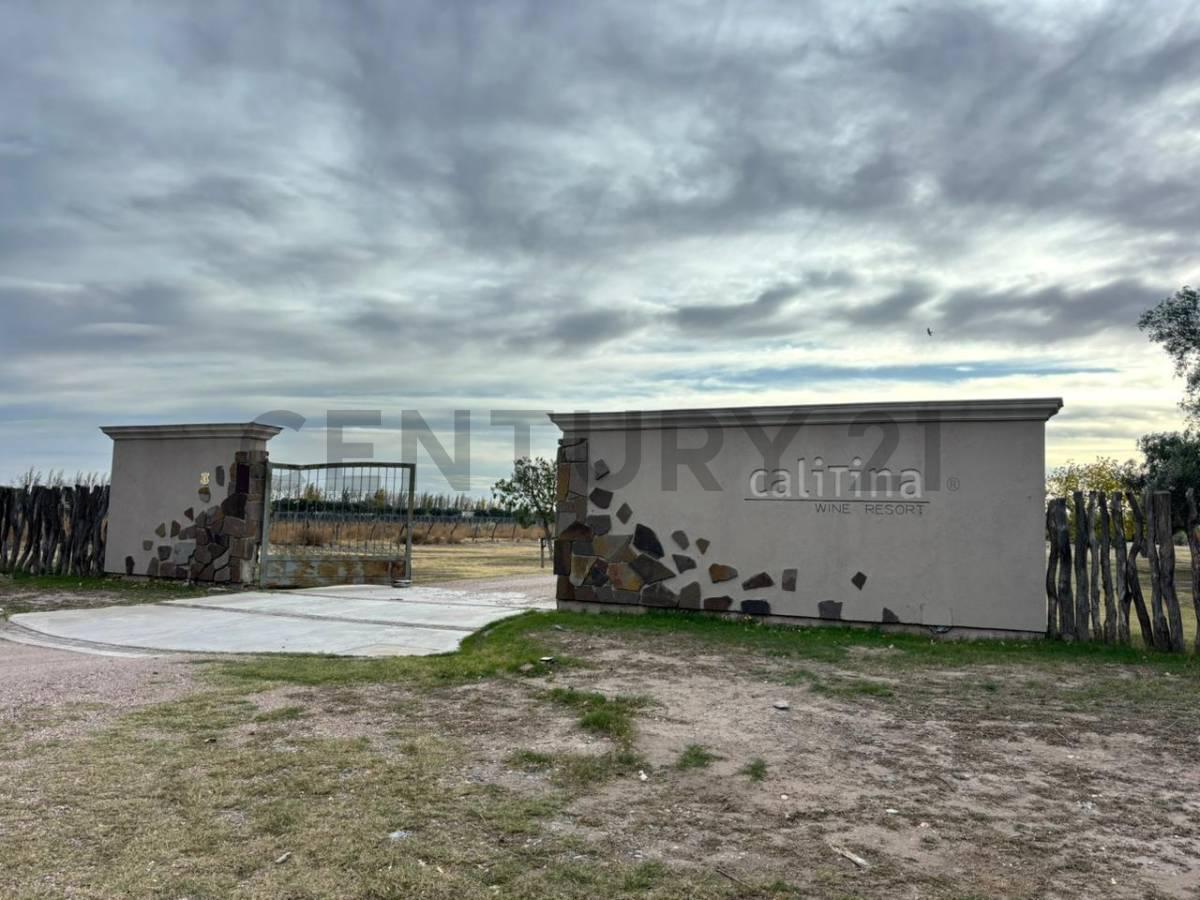 VENTA DE CAMPO DE 2.7 HA EN SAN RAFAEL MENDOZA. ID: 343654 — foto 1