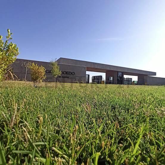 GRAN TERRENO EN VENTA EN B° GRAN BOEDO - LUJÁN DE CUYO — foto 1