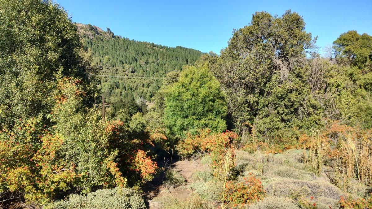 VENTA LOTE EN SAN MARTIN DE LOS ANDES - CUESTA DE SEPULVEDA — foto 1