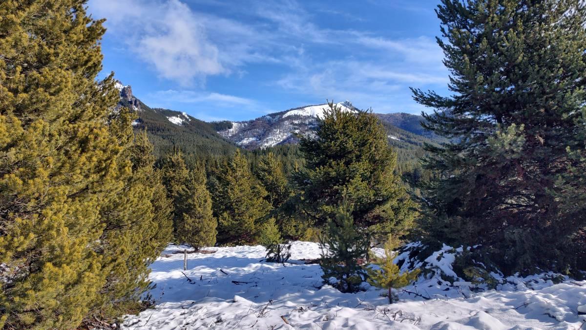 LOTE EN VENTA VILLA LAGO MELIQUINA - SAN MARTIN DE LOS ANDES — foto 1