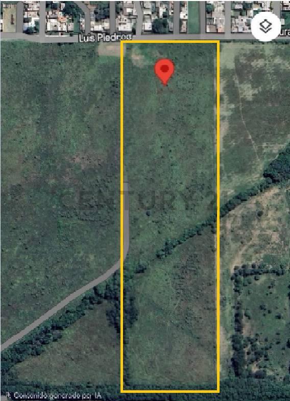 CAMPO EN VENTA - CAMINO SAN CARLOS 6 HA — foto 1