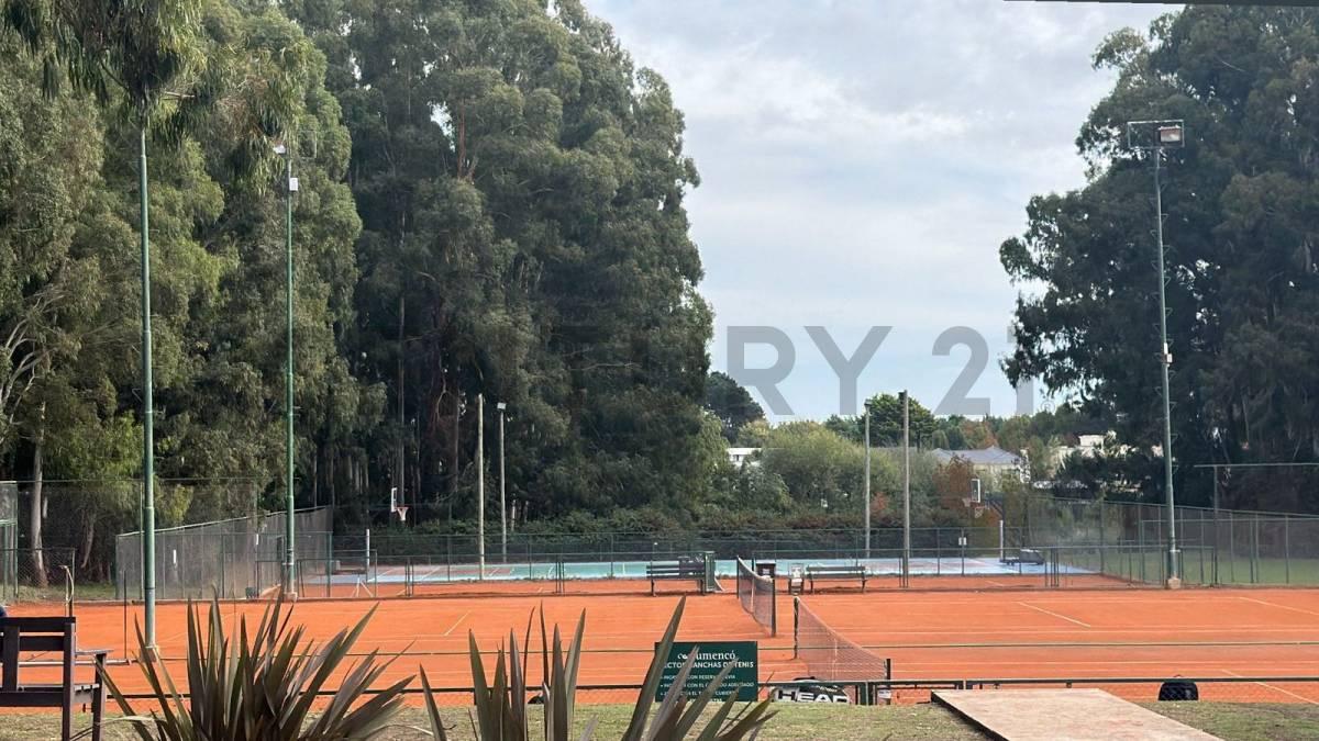 VENTA LOTE RUMENCÓ LOS OLIVOS 735M2 — foto 1