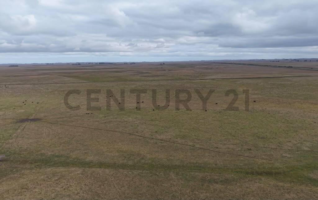 VENTA CAMPO GENERAL PIRAN 780 HECTAREAS — foto 1