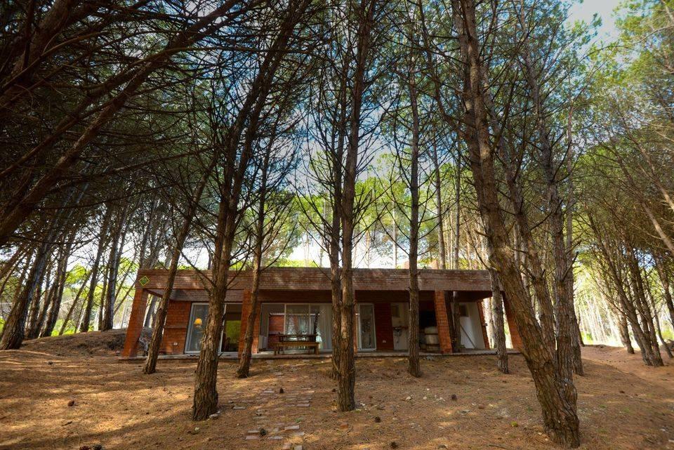 Vendemos casa en el bosque de Claromecó — foto 1