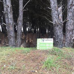 VENDEMOS LOTES DE TERRENO DE 20x30 y 20x40 mts. FRENTE AL GO — foto 1