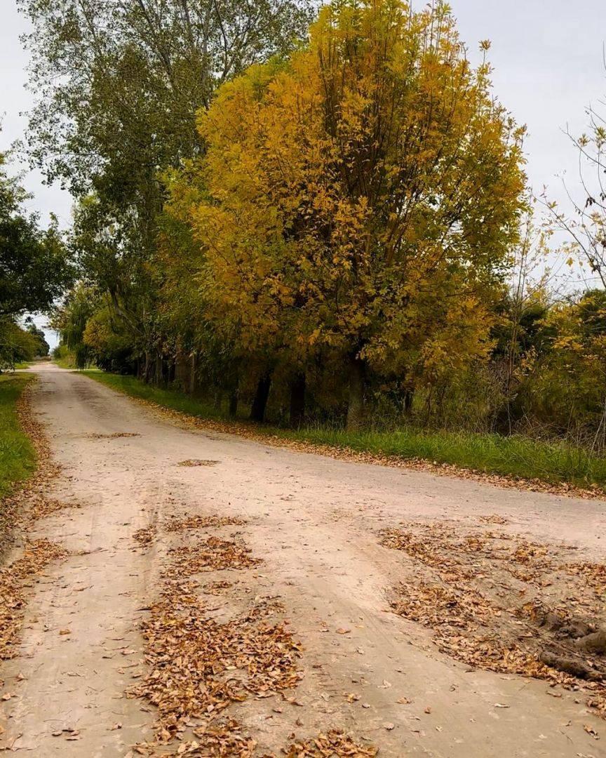 Lote en Venta con Escritura en Nacho Correas — foto 1
