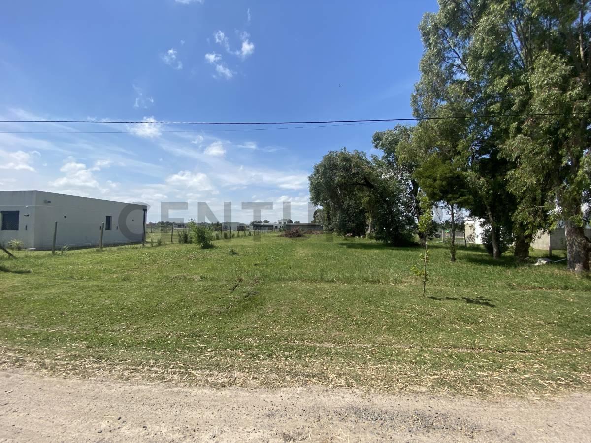 Lote en venta en La Cañada I, City Bell — foto 1
