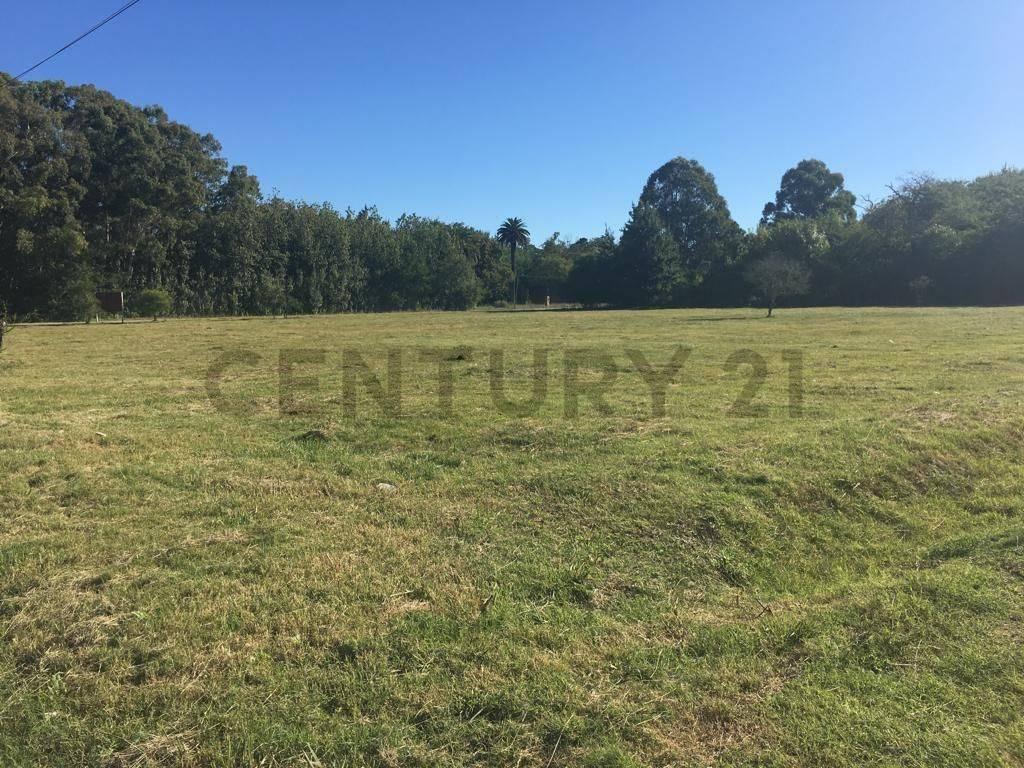 Lote en venta en Magdalena — foto 1