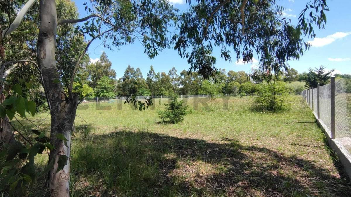 Lote terreno en venta en Arturo Segui "Los Aromos" — foto 1
