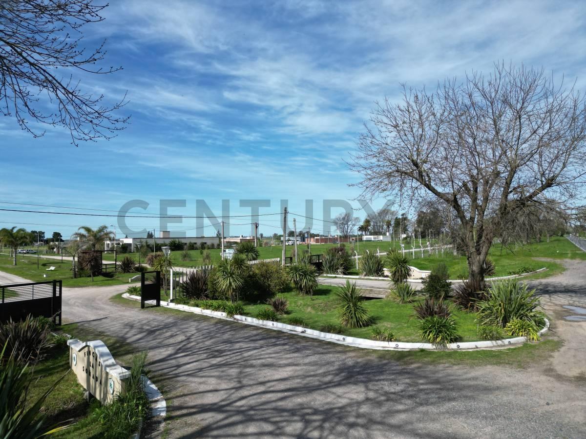 TERRENOS EN FINCAS LA SOÑADA RUTA 11 Y 650 ESCRITURA INMEDIATA 1000 MTS — foto 1