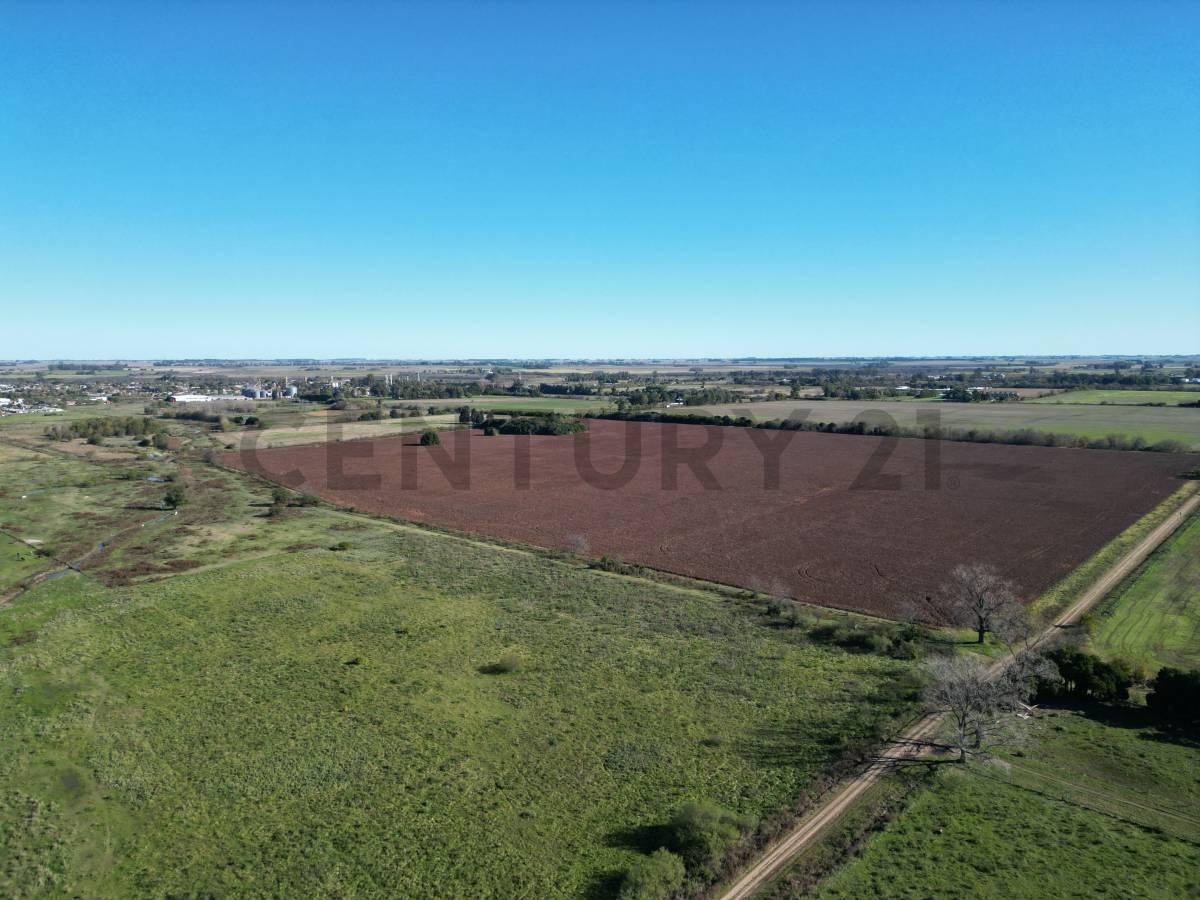 RUTA 8 Y RUTA 51 CAMPO 37 HA ARRECIFES, BUENOS AIRES — foto 1
