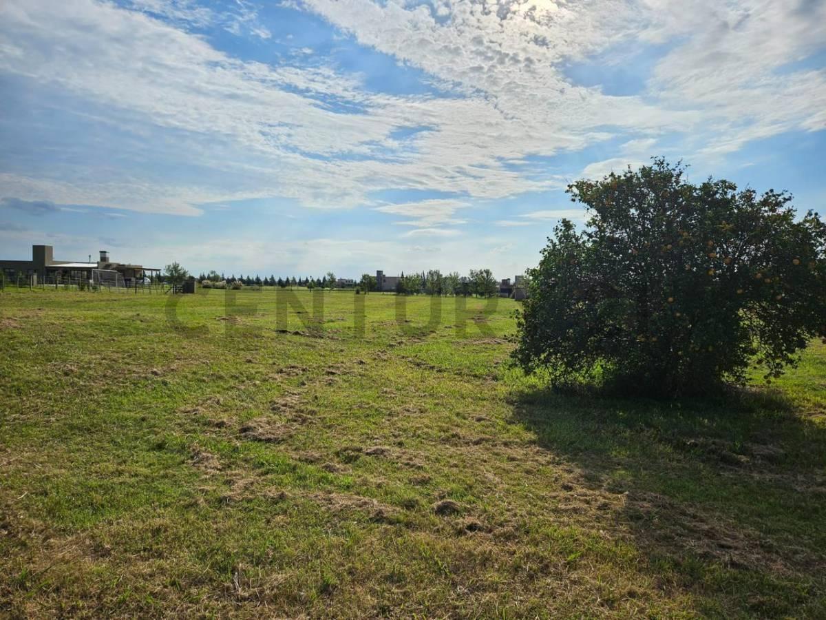 LOTE EN VENTA EL MIRADOR CLUB DE CAMPO - BRANDSEN — foto 1