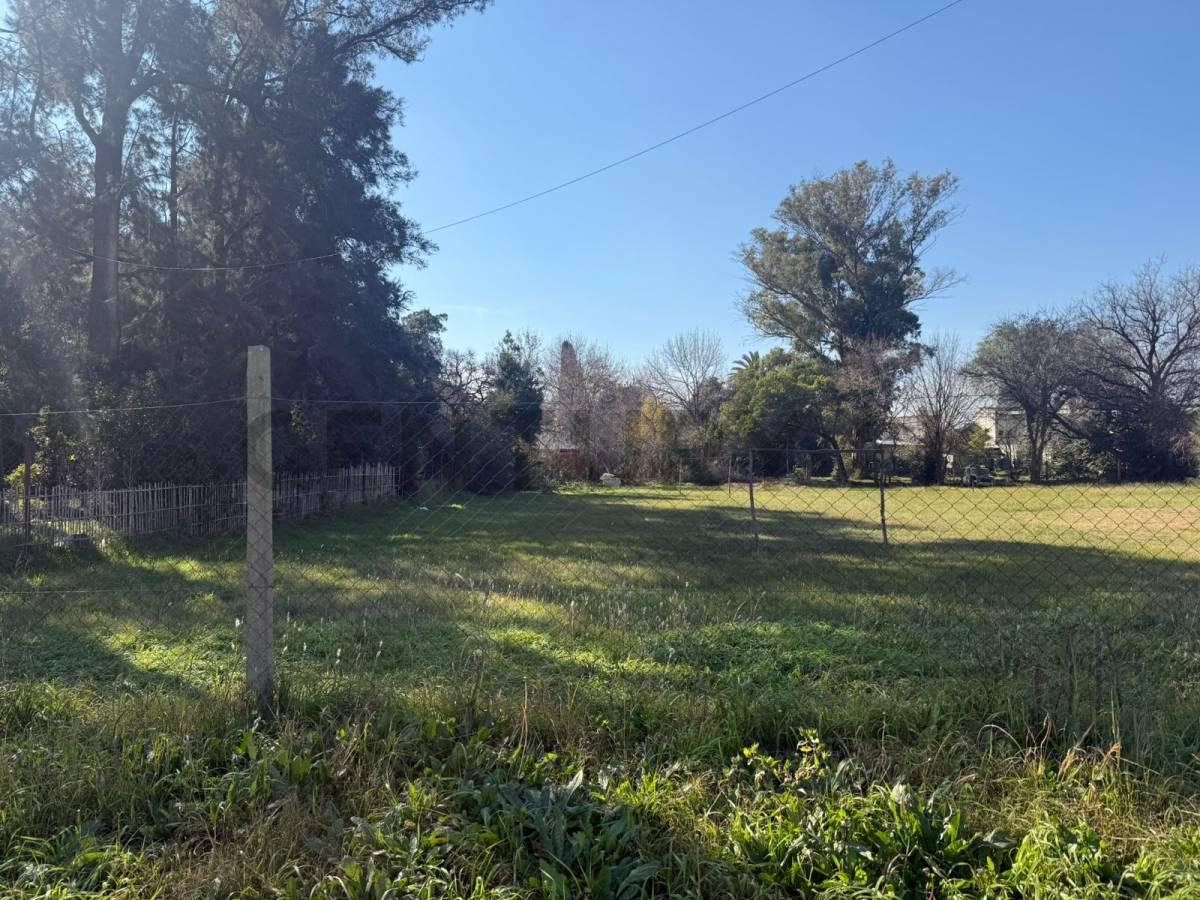 LOTE EN VENTA EN LA PLATA — foto 1