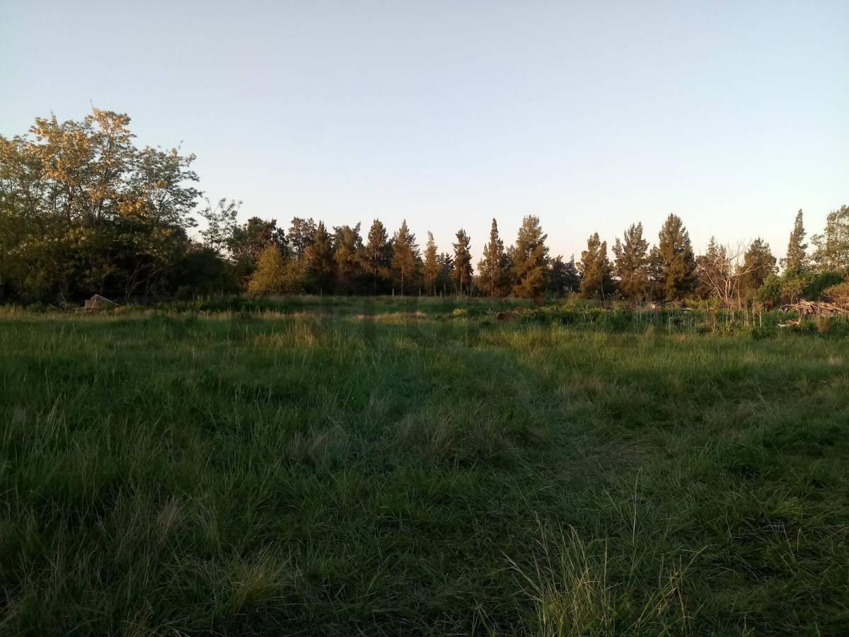 Campo en venta — foto 1