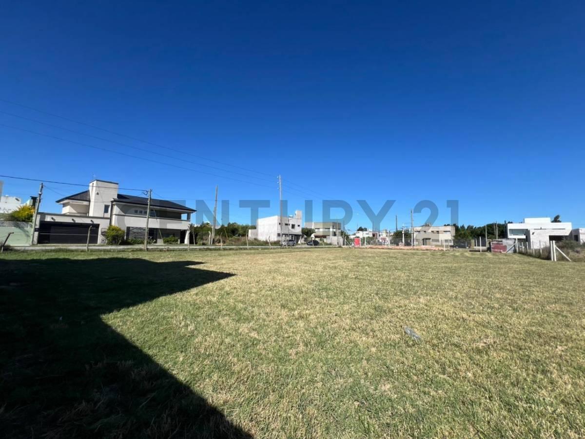 VENTA DE LOTE EN GONNET 4 Y 499 — foto 1
