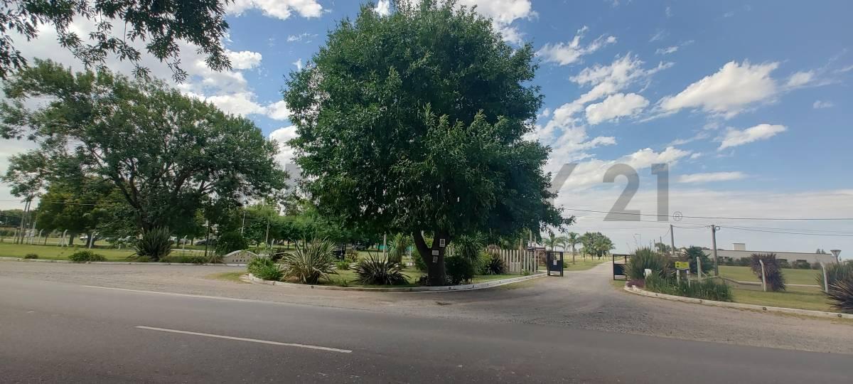 VENTA LOTE FINCA LA SOÑADA RUTA 11 — foto 1
