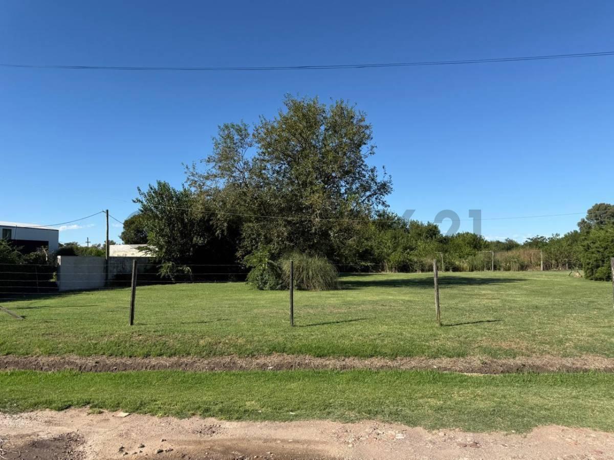 Venta de Lote en Villa Elisa — foto 1