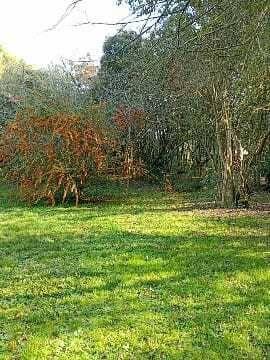 Venta de Lote en Villa Elisa — foto 1