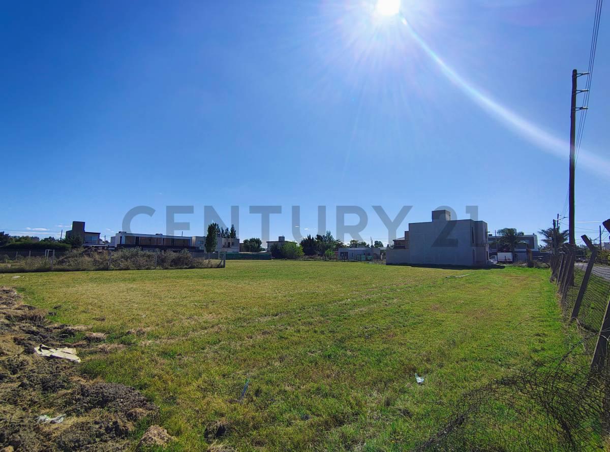 VENTA DE LOTE EN GONNET 4 Y 500 — foto 1