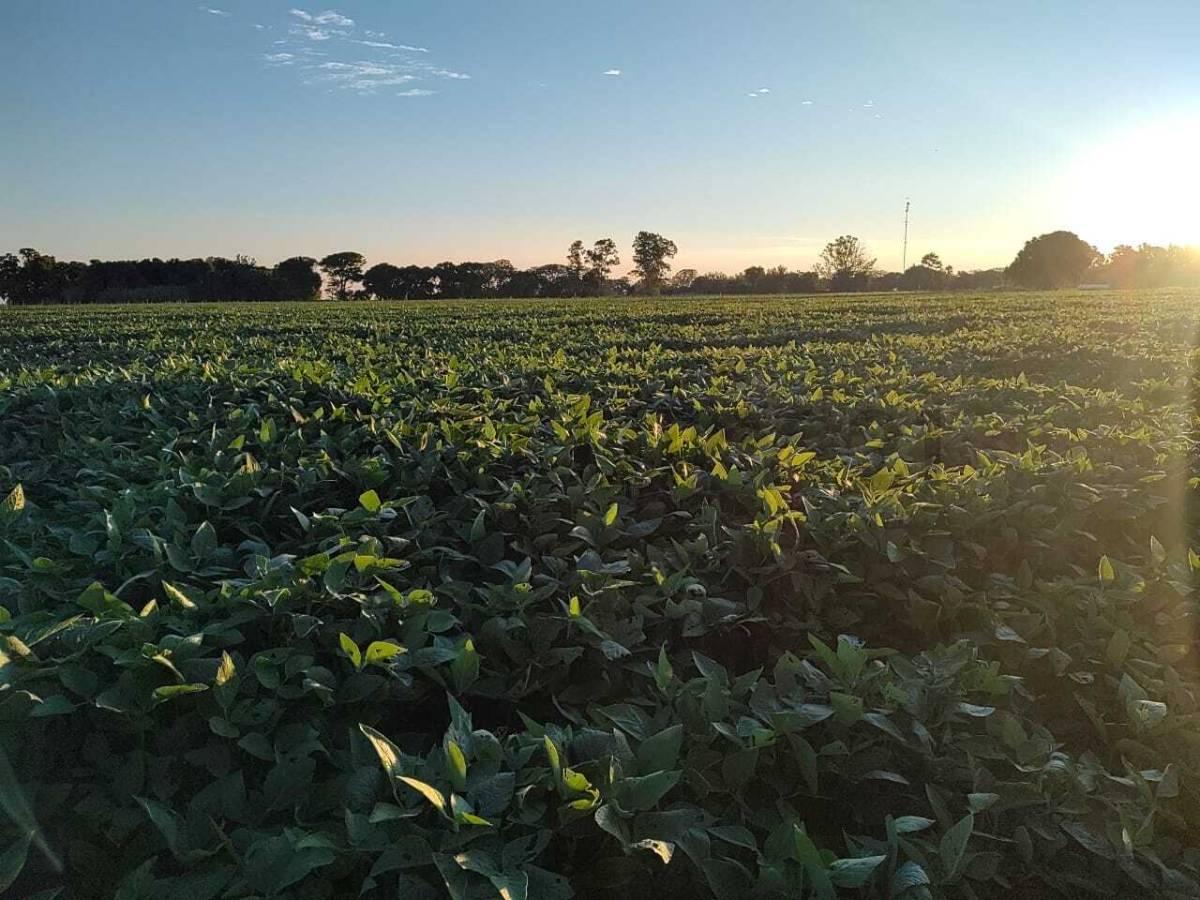 Venta Campo en Díaz Santa Fe — foto 1