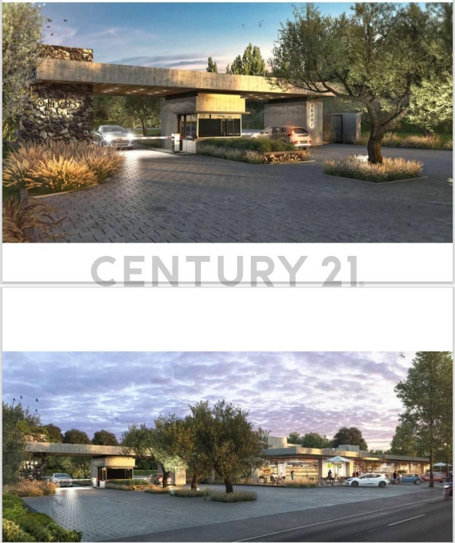 VENTA DE LOTES EN EXCLUSIVO B° PRIVADO OLIVOS PARK — foto 1