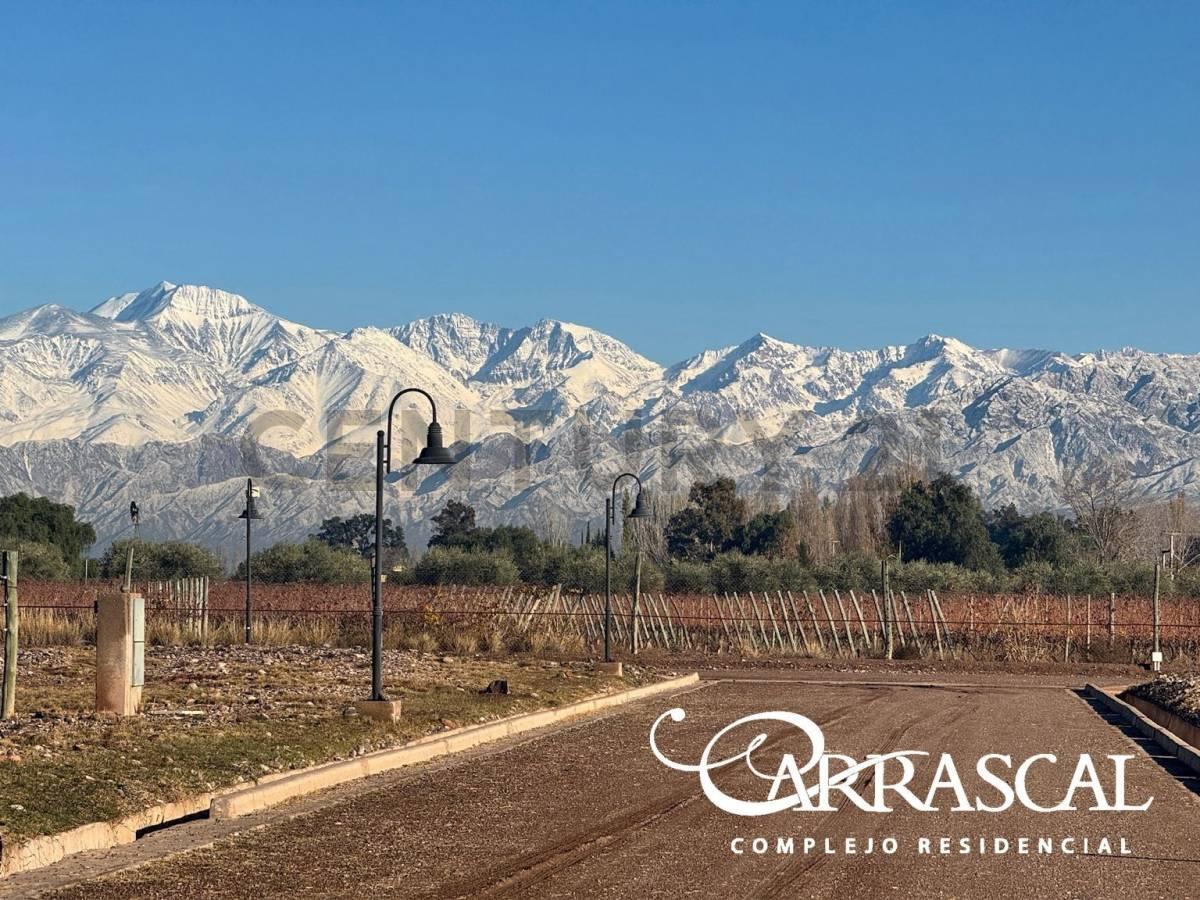 LOTE EN VENTA COMPLEJO RESIDENCIAL CARRASCAL — foto 1