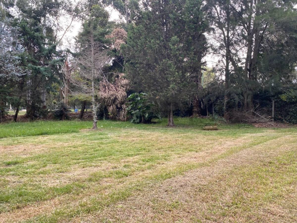 Lote en Venta en Barrio Las Ranas - Paraje La Balandra - Berisso — foto 1