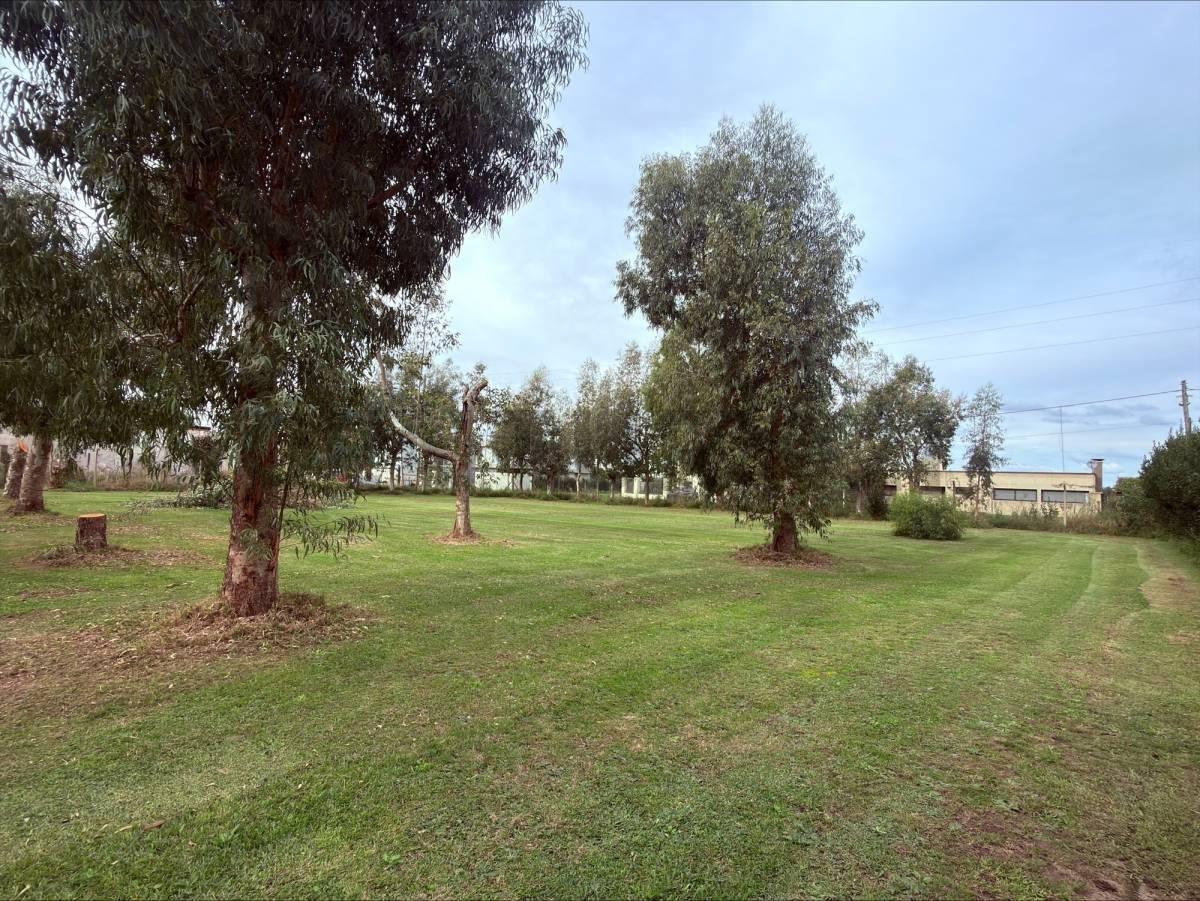 Terreno en venta . En la hermosura — foto 1