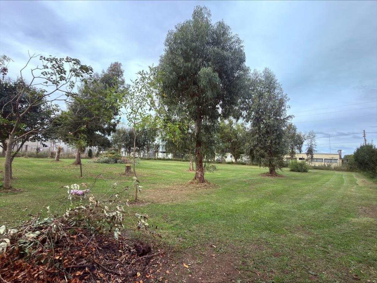 Terreno en venta, La Hermosura, Berisso — foto 1