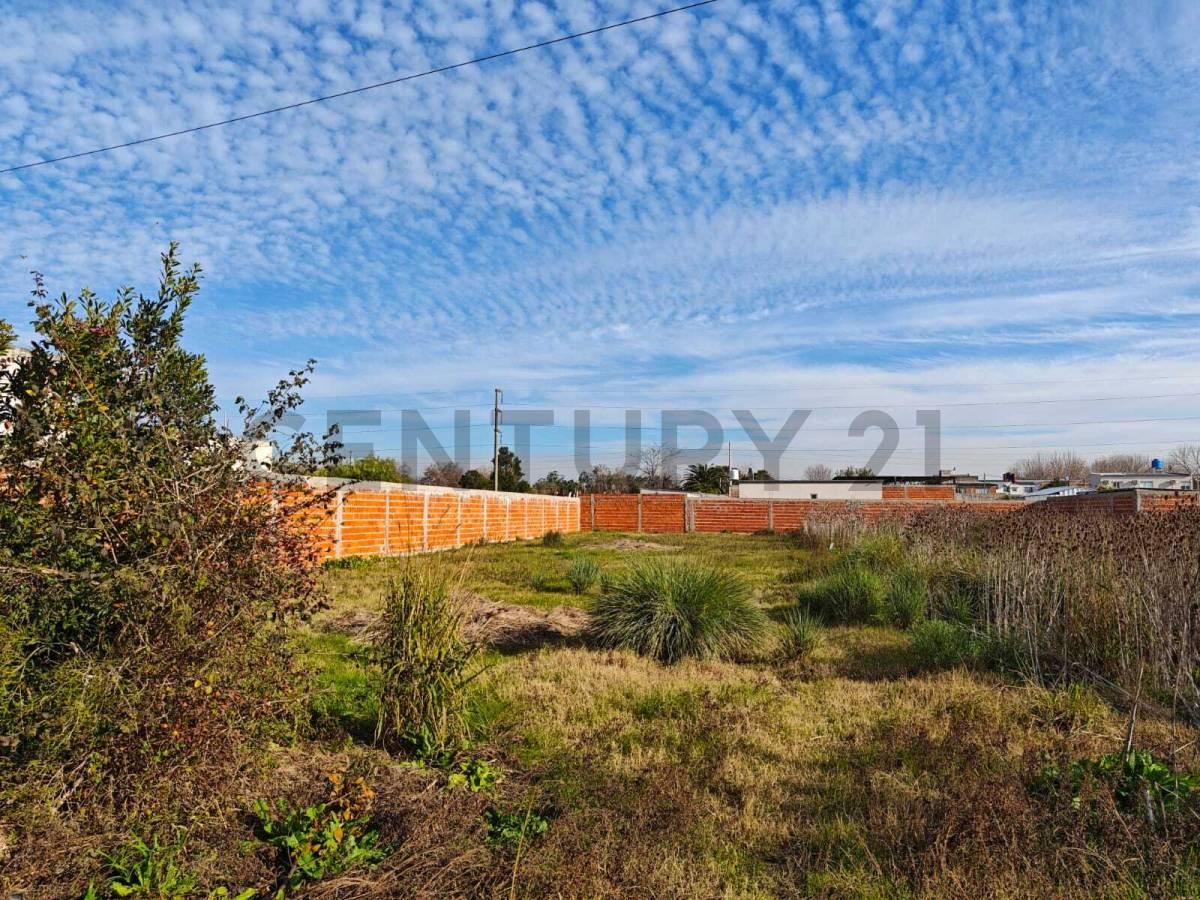 146 y 35 - Lote en venta - La Plata — foto 1