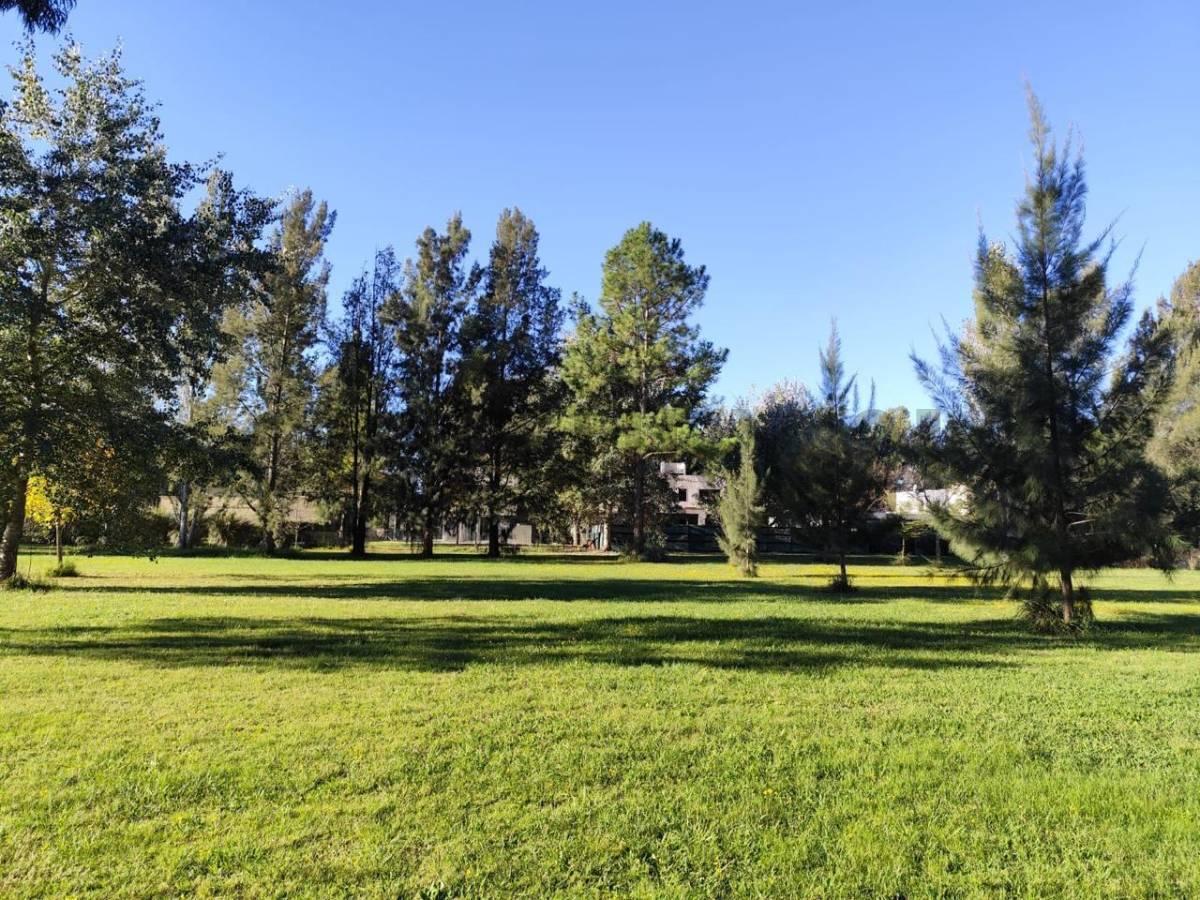 Ruta 2 Km 65, Club de Campo y Spa Miralagos II. Lote en venta — foto 1