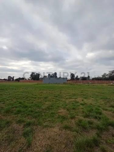 EXCELENTE LOTE EN VENTA EN BARRIO PRIVADO VIRREY DEL PINO — foto 1