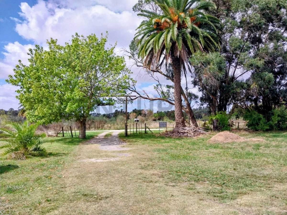 Hectareas con Casa de Campo en Venta en Veronica — foto 1