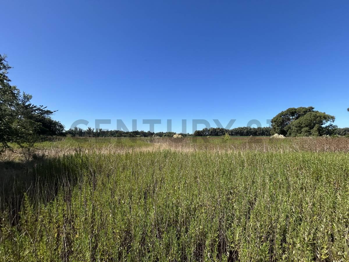 VENTA TERRENO SANTA ROSA DEL MAR,MAR DEL PLATA — foto 1
