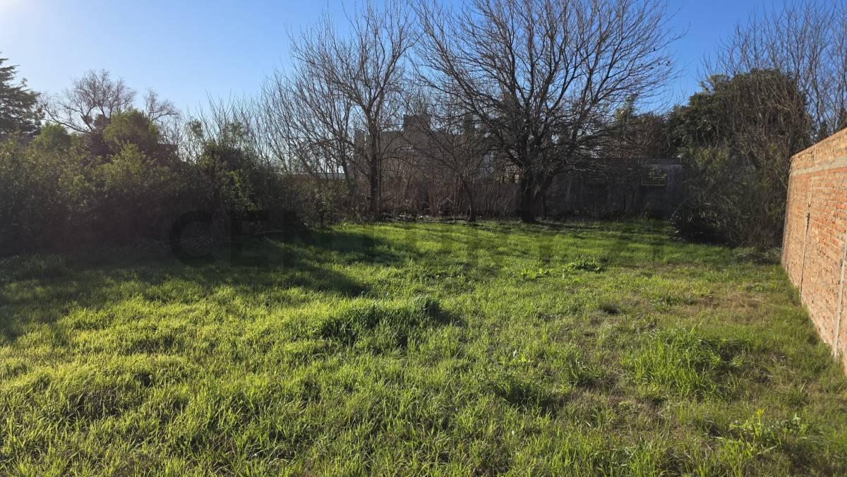 VENTA - LOTE - TERRENO - 372 M2 - CAÑADA DE GOMEZ — foto 1