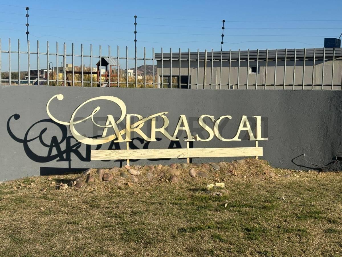 Lote en venta — foto 1