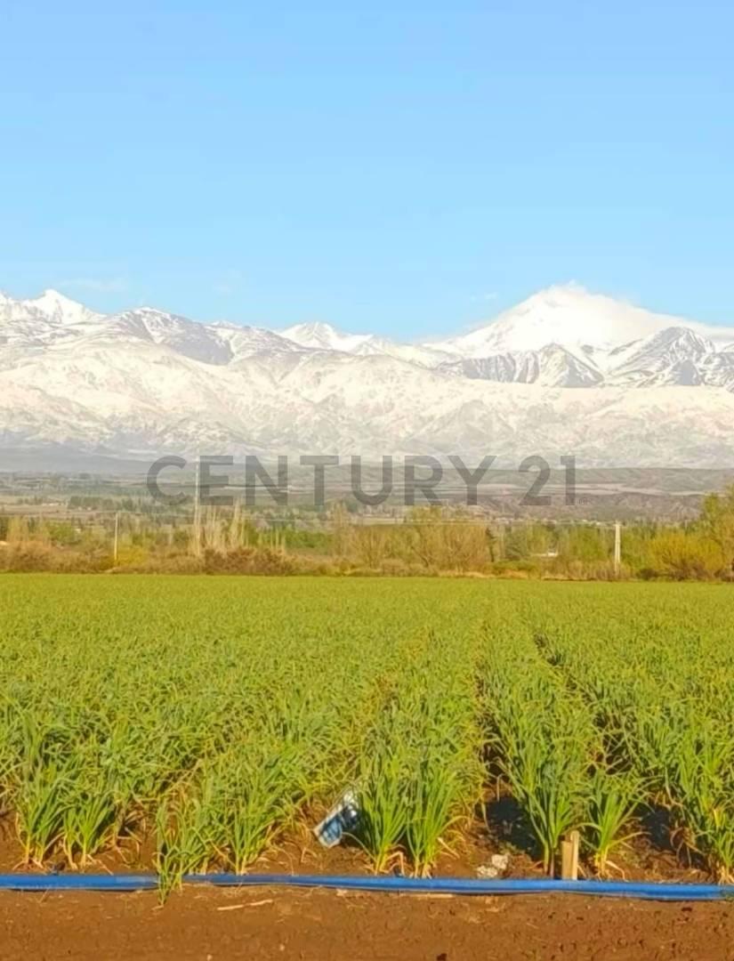 Century 21 López vende Finca en Tupungato Valle de Uco, Mendoza — foto 1