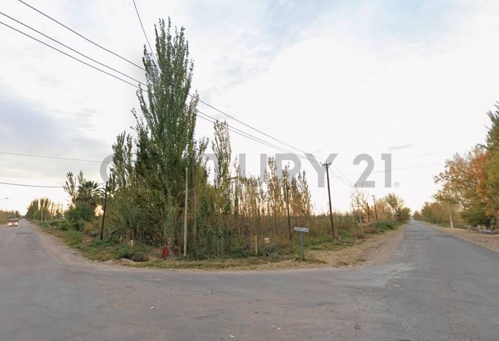 VENTA TERRENO 2H - IDEAL CULTIVO — foto 1