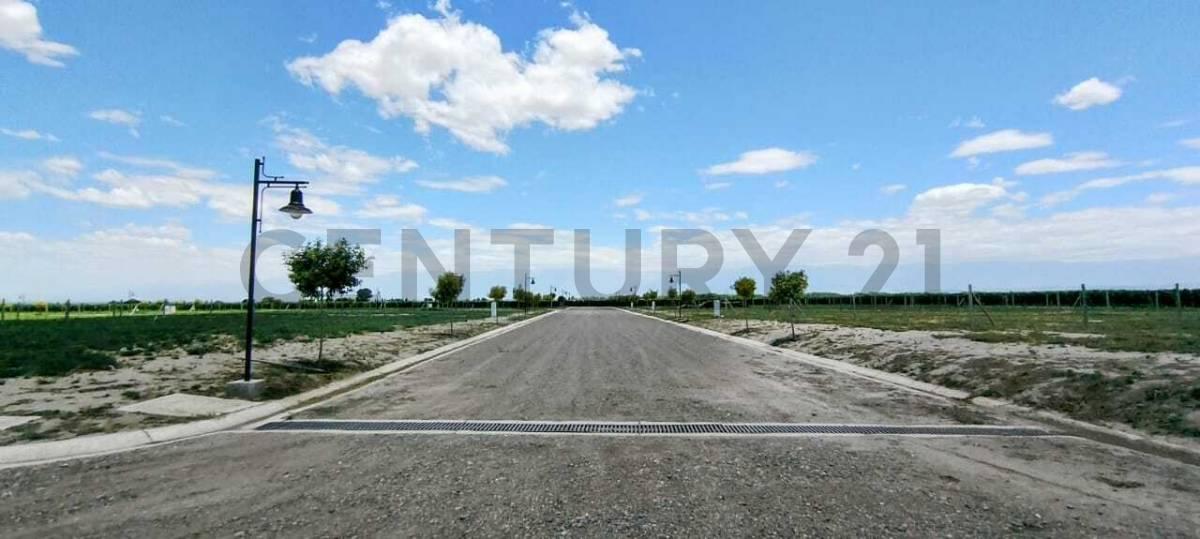 Century 21 López vende Lote en Barrio Privado Tupungato Valley, Valle de Uco, Mendoza — foto 1