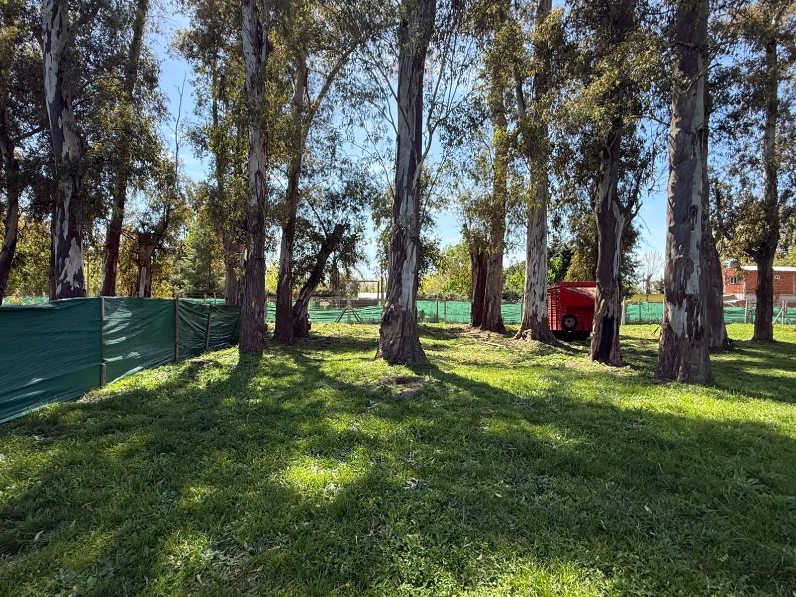 Terreno en venta Alvarez del Bosque — foto 1