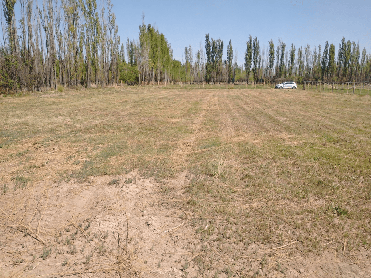 Venta de Terreno en Cervantes — foto 1