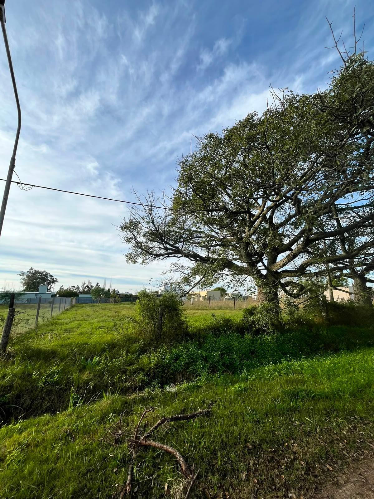 Terrenos en venta en Presidente Roca — foto 1