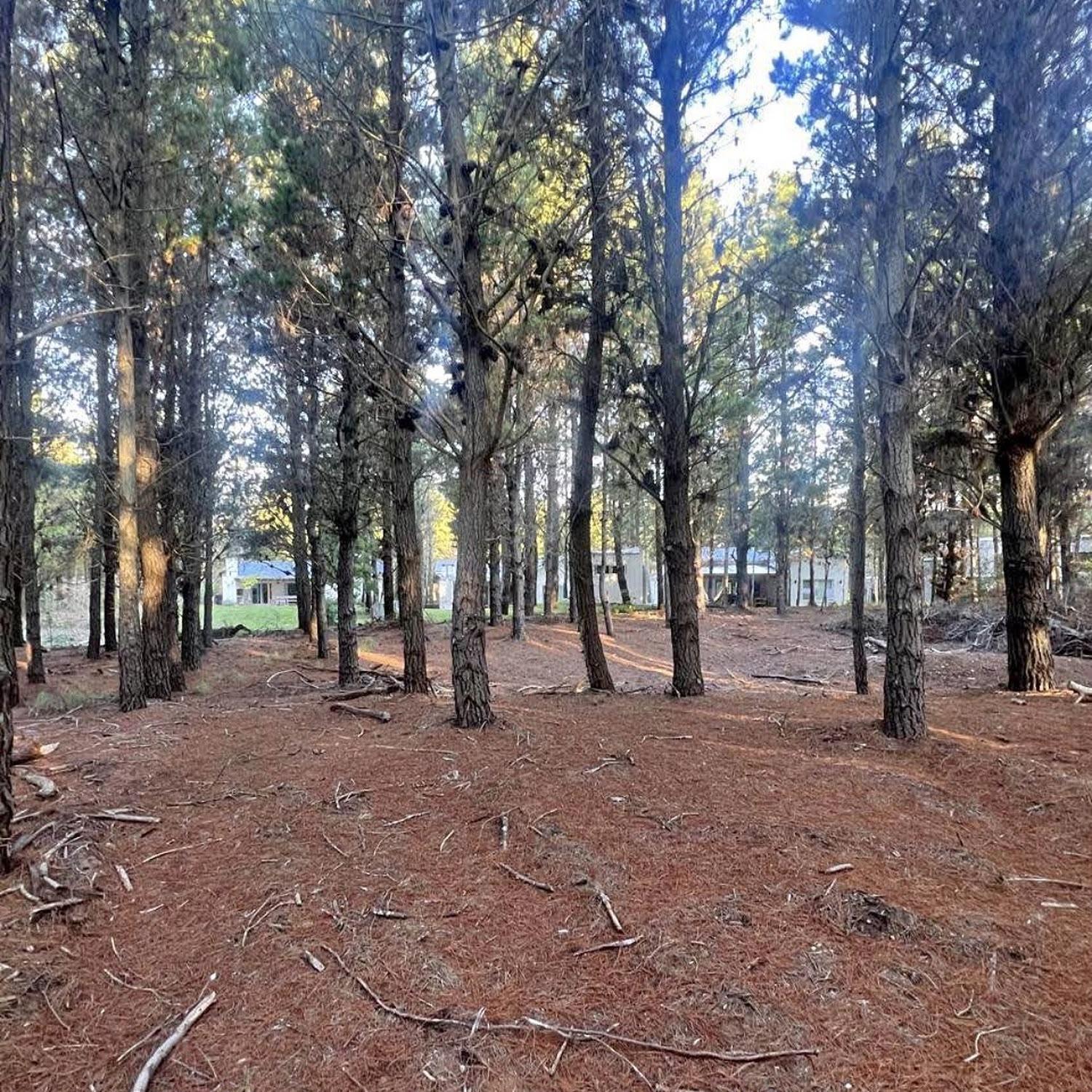LOTE EN SENDEROS IV COSTA ESMERALDA — foto 1