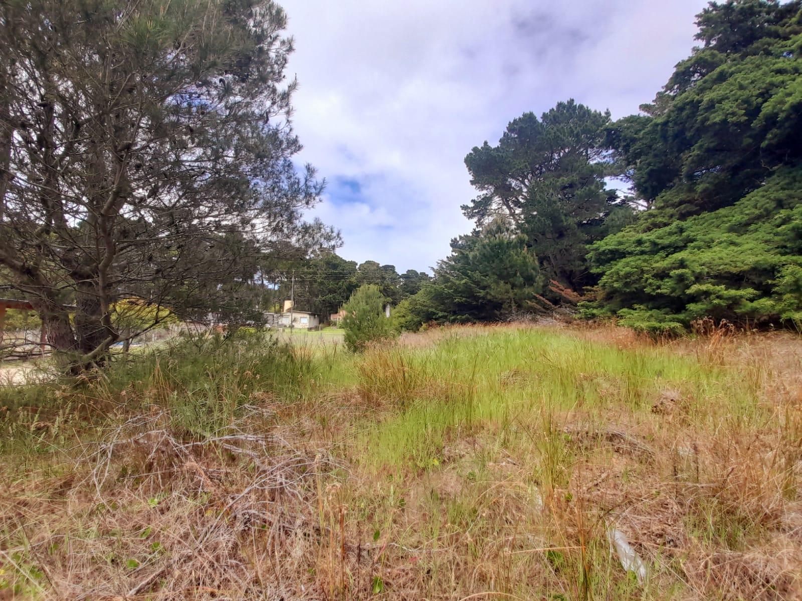 Terreno en venta en Mar Azul — foto 1